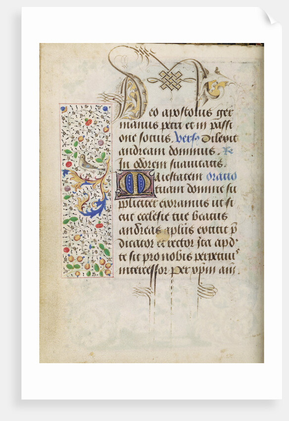 Decorated Text Page by Nicolas Spierinc