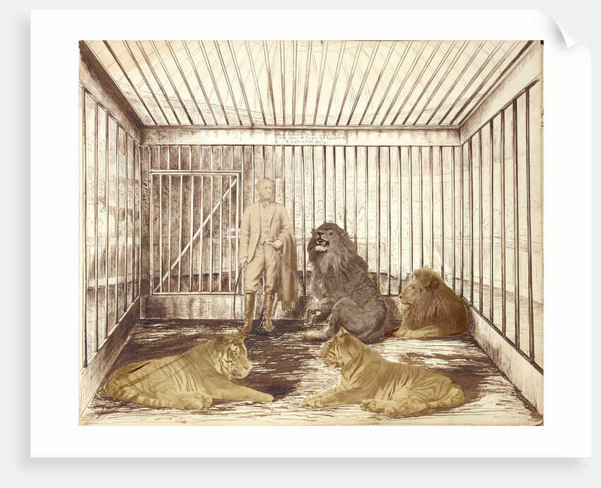 Portrait of a Man with Lions by Anonymous