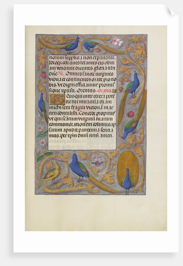 Decorated Text Page by Anonymous
