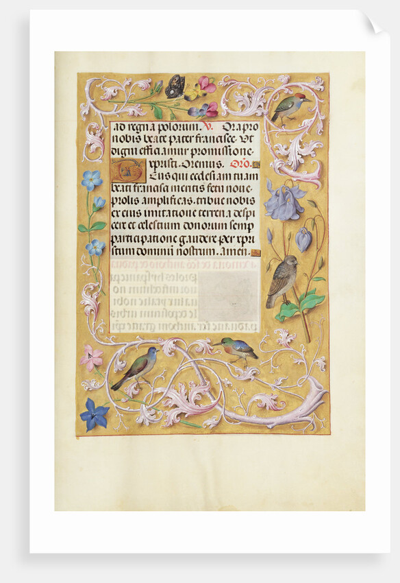 Decorated Text Page by Anonymous