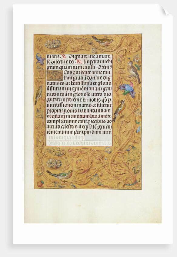 Decorated Text Page by Anonymous
