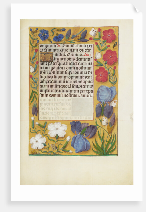 Decorated Text Page by Anonymous