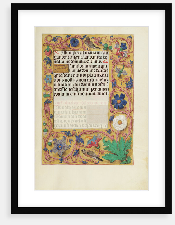 Decorated Text Page by Anonymous