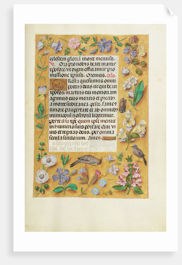 Decorated Text Page by Anonymous