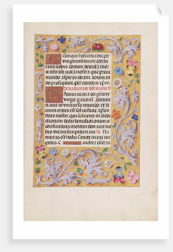 Decorated Text Page by Anonymous