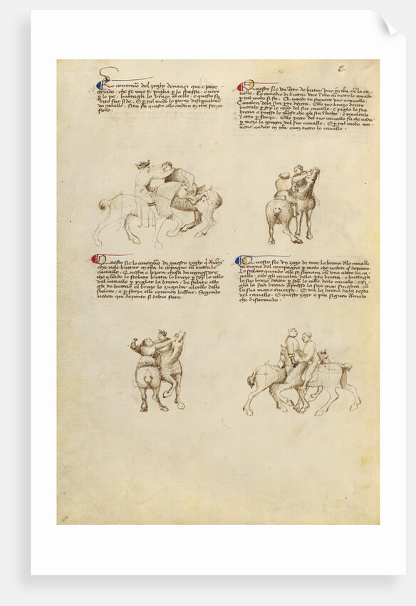 Unarmed Equestrian Combat by Fiore Furlan dei Liberi da Premariacco