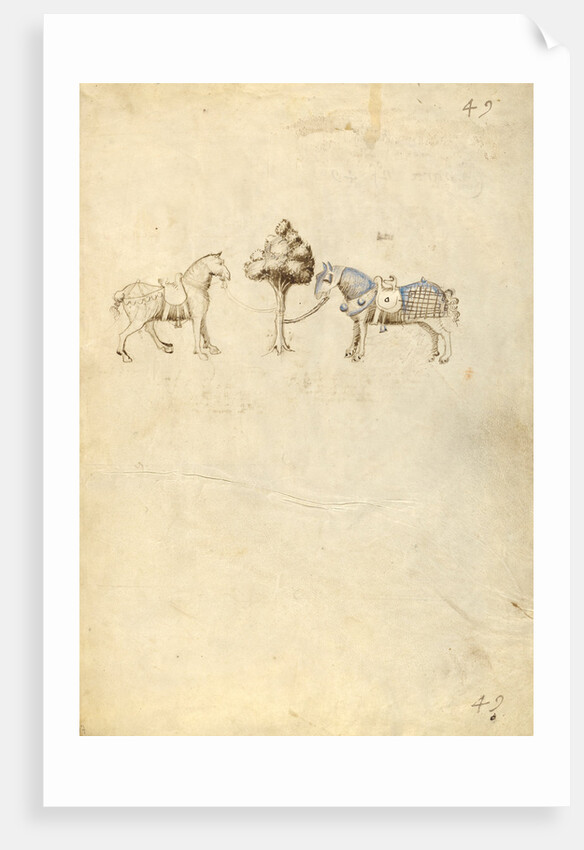 Two Horses by Fiore Furlan dei Liberi da Premariacco