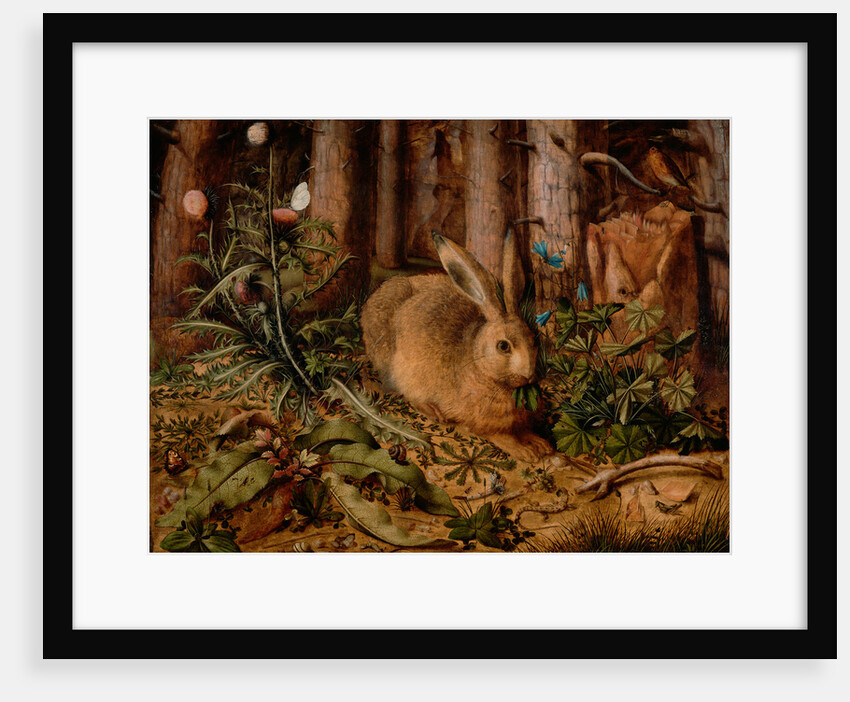 A Hare in the Forest by Hans Hoffmann