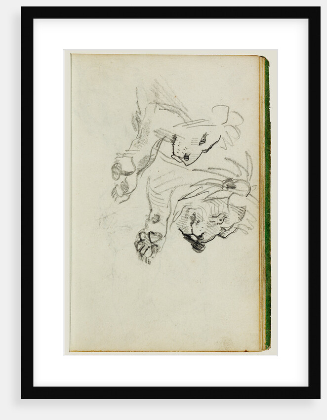 Two lion studies by Théodore Géricault