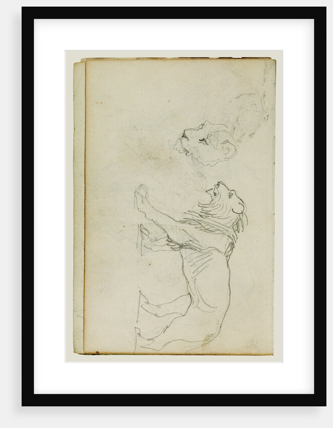 Lion walking, head of a lioness by Théodore Géricault