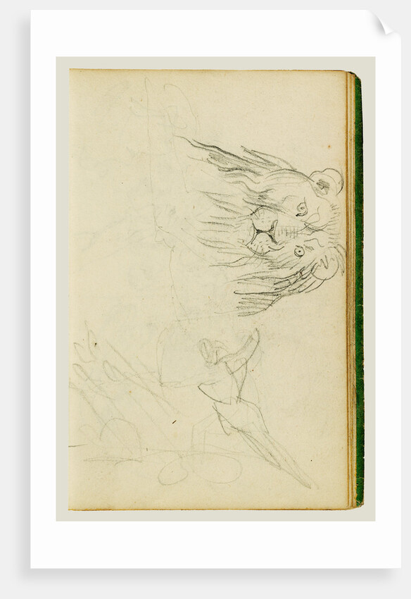 Head on view of seated lion by Théodore Géricault