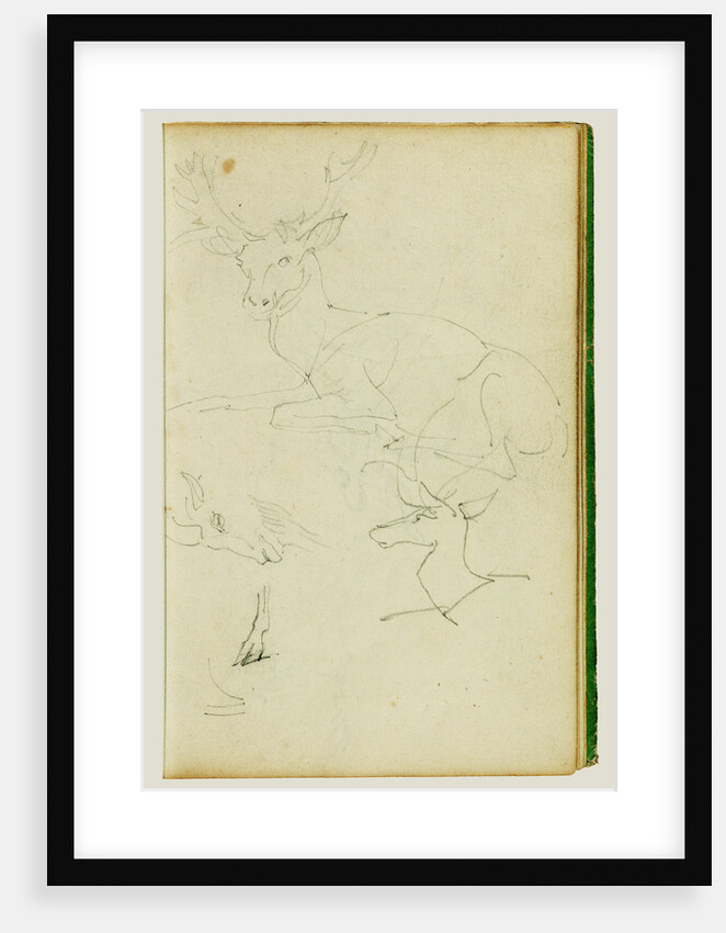 Studies of a seated stag, a fawn, a goat head by Théodore Géricault