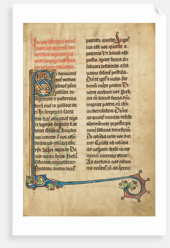 Decorated Initial S by Anonymous