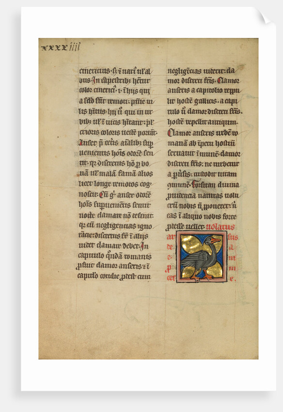 A Heron by Anonymous