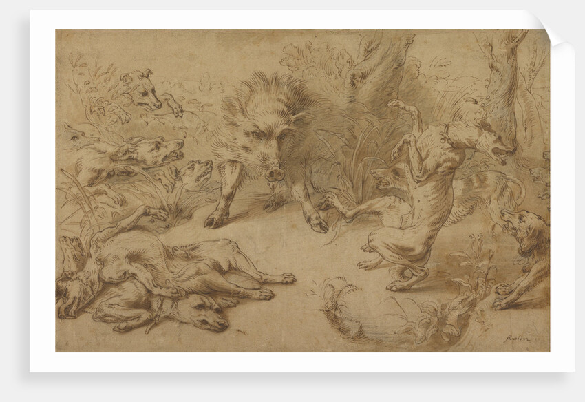 A Wild Boar at Bay by Frans Snyders