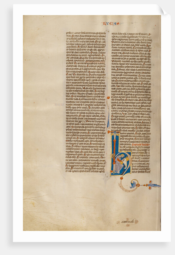 Initial H: Saint Jerome by Anonymous