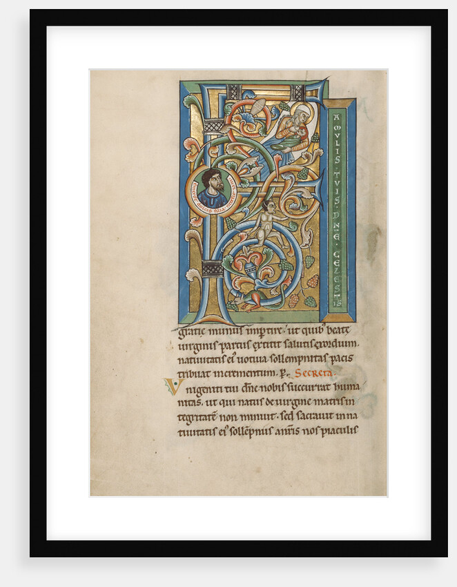 Initial F: The Birth of the Virgin by Anonymous