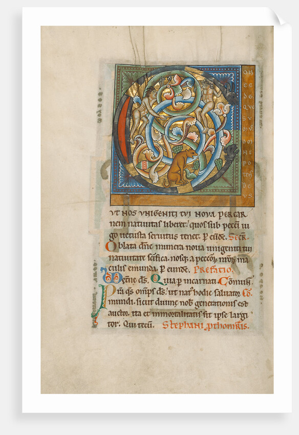 Inhabited Initial C by Anonymous