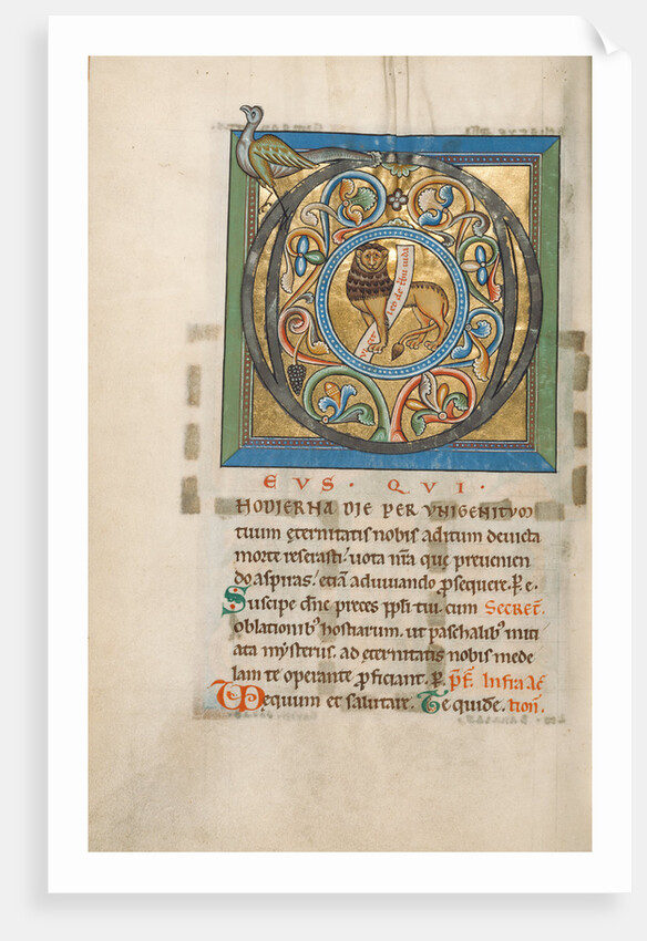 Initial D: The Lion of Judah by Anonymous