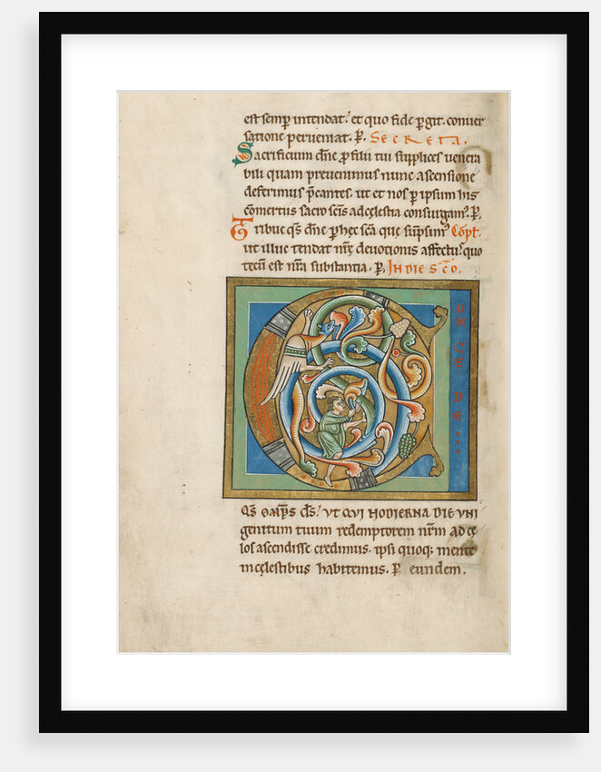 Inhabited Initial C by Anonymous