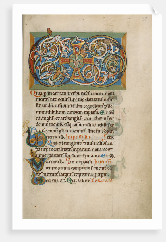 Inhabited VD Monogram by Anonymous