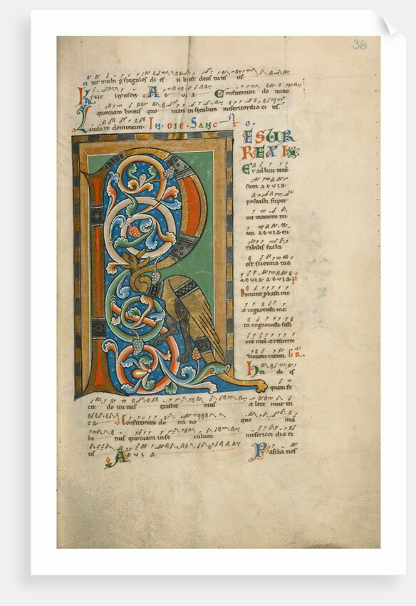 Decorated Initial R by Anonymous
