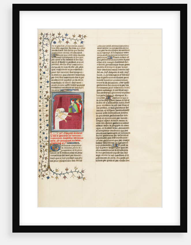 The Putrefaction of the Flesh of the Dying Emperor Galerius by Anonymous