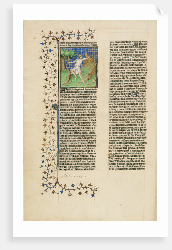 Hercules Poisoned by the Shirt of Nessus by Anonymous