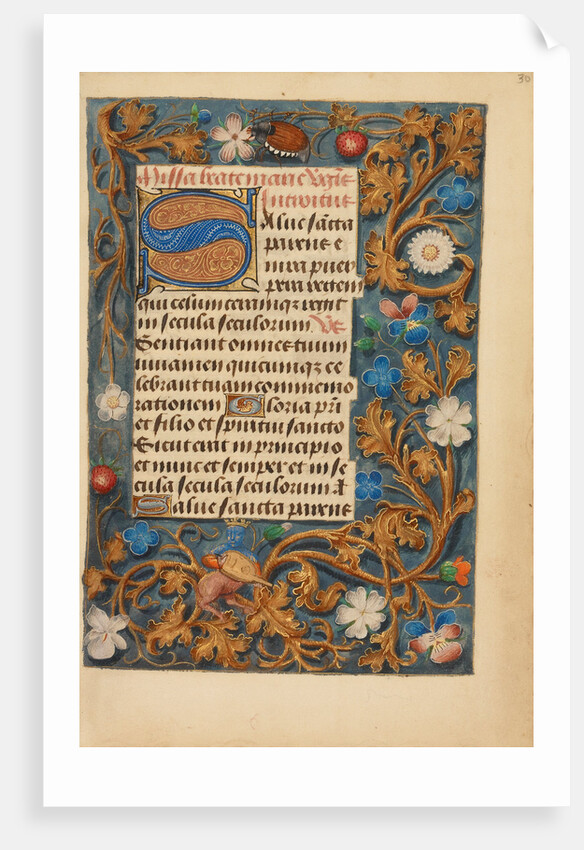 Decorated Initial S by Anonymous