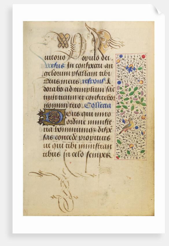 Decorated Text Page by Nicolas Spierinc
