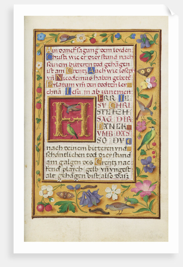 Decorated Text Page by Anonymous