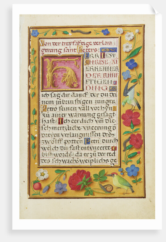 Decorated Text Page by Anonymous