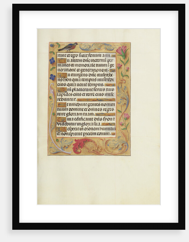 Decorated Text Page by Anonymous