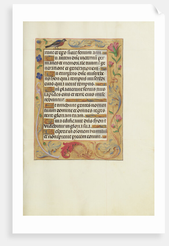 Decorated Text Page by Anonymous