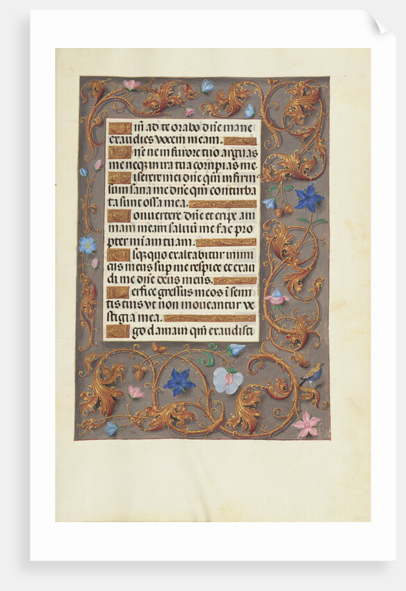 Decorated Text Page by Anonymous