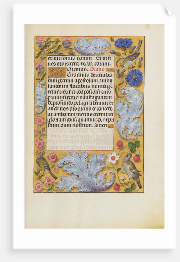 Decorated Text Page by Anonymous