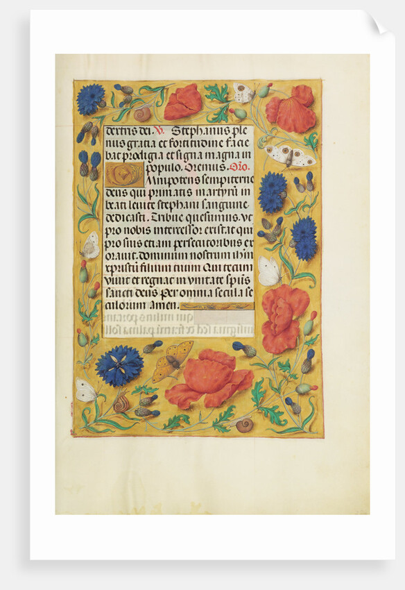 Decorated Text Page by Anonymous