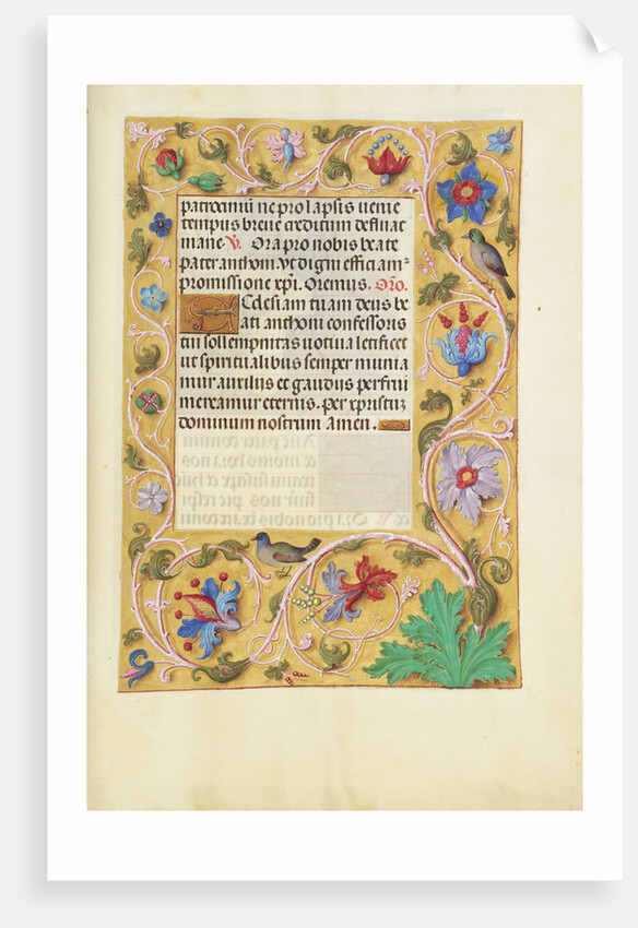 Decorated Text Page by Anonymous