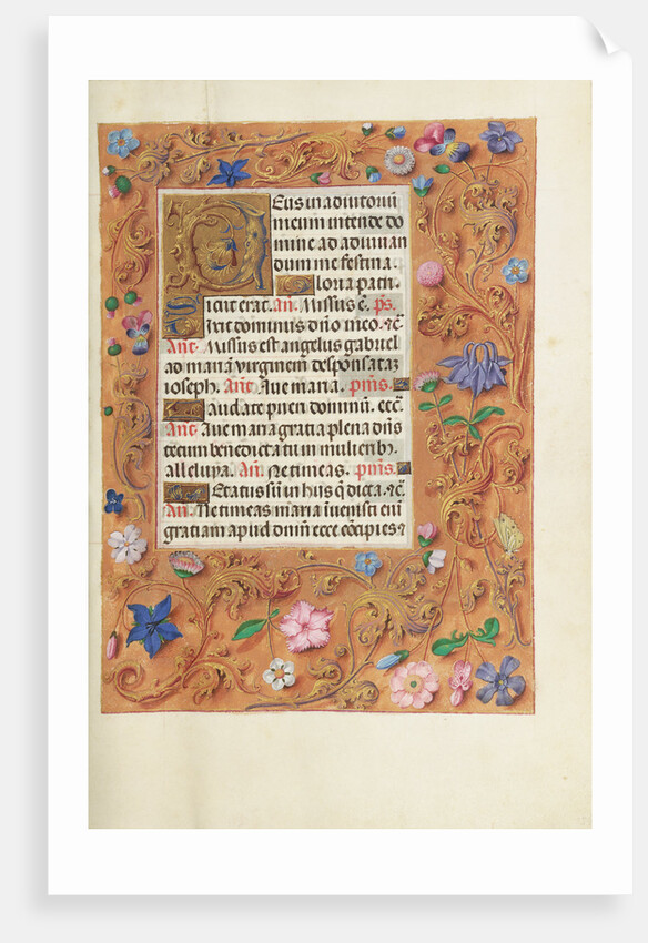 Decorated Text Page by Anonymous