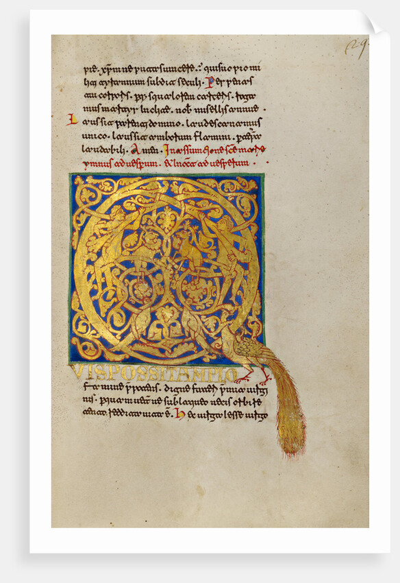 Inhabited Initial Q by Anonymous