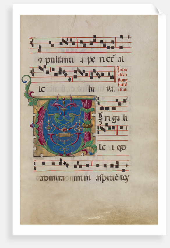 Decorated Initial V by Anonymous