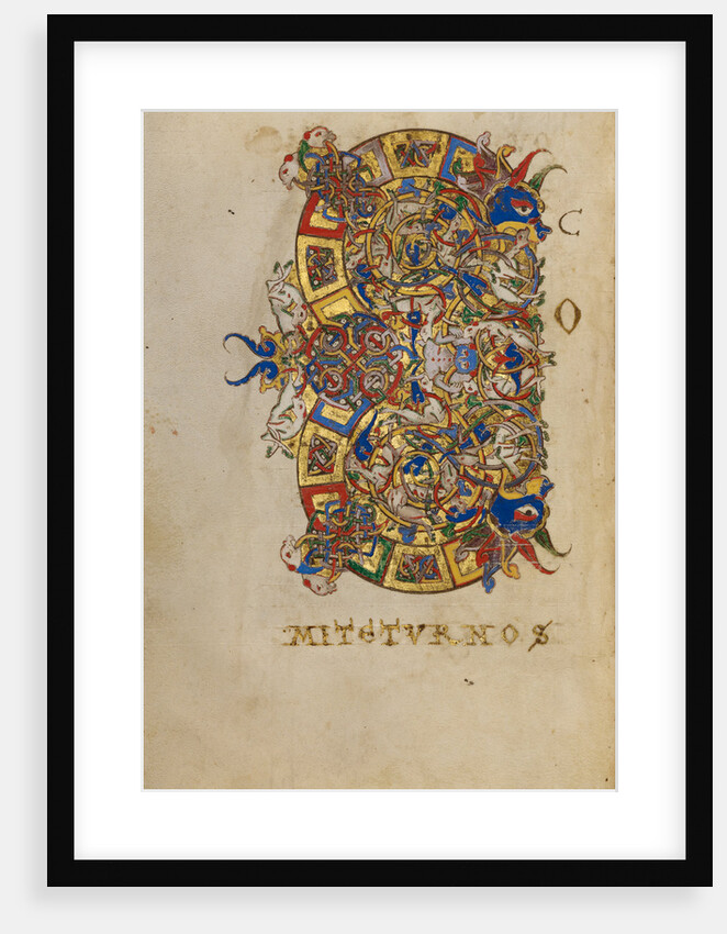 Inhabited Initial C by Anonymous