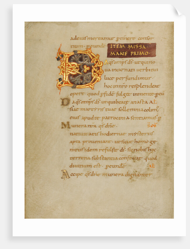 Decorated Initial D by Anonymous