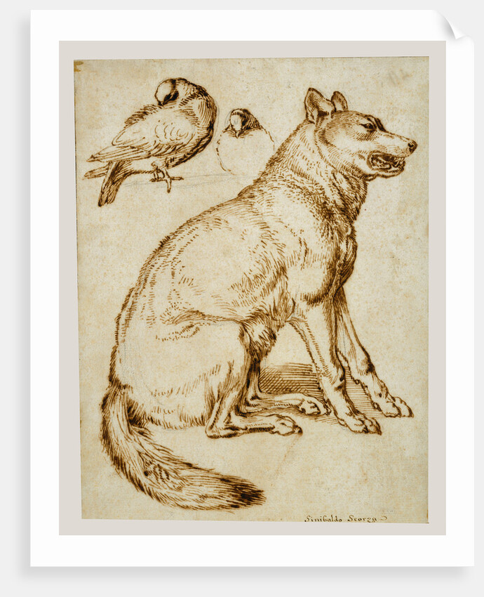 A Wolf and Two Doves by Sinibaldo Scorza