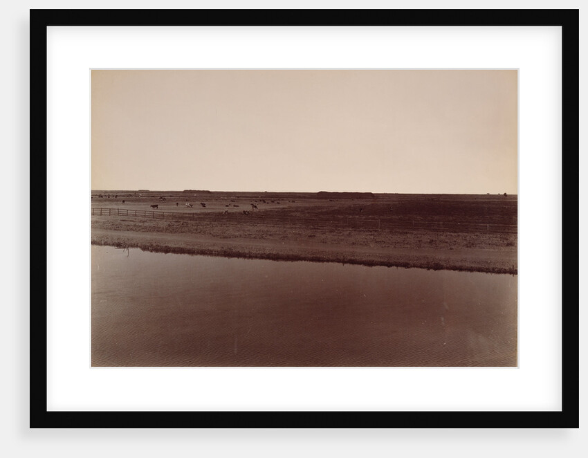View on the Calloway Canal, Near Poso Creek, Kern County by Carleton Watkins