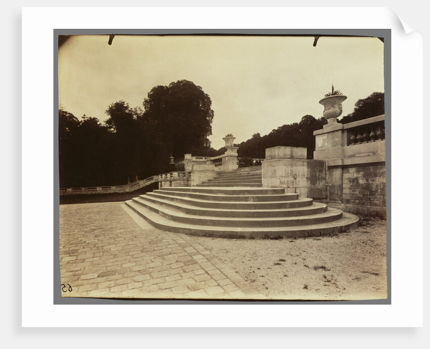 Parc de Saint Cloud by Eugène Atget