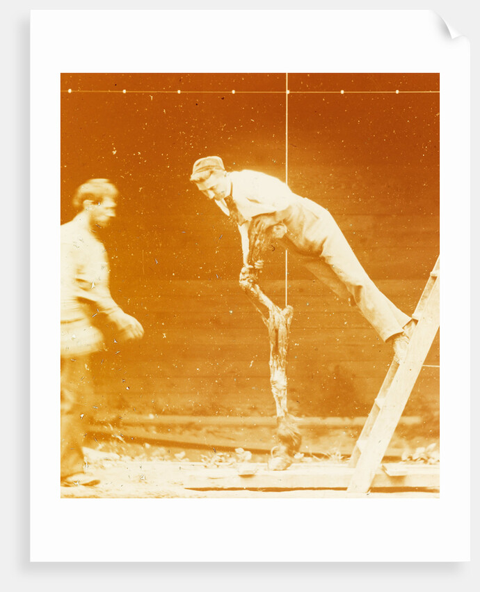 Study of Muscular Action: Young Man Leaning on a Horse's Leg by Thomas Eakins