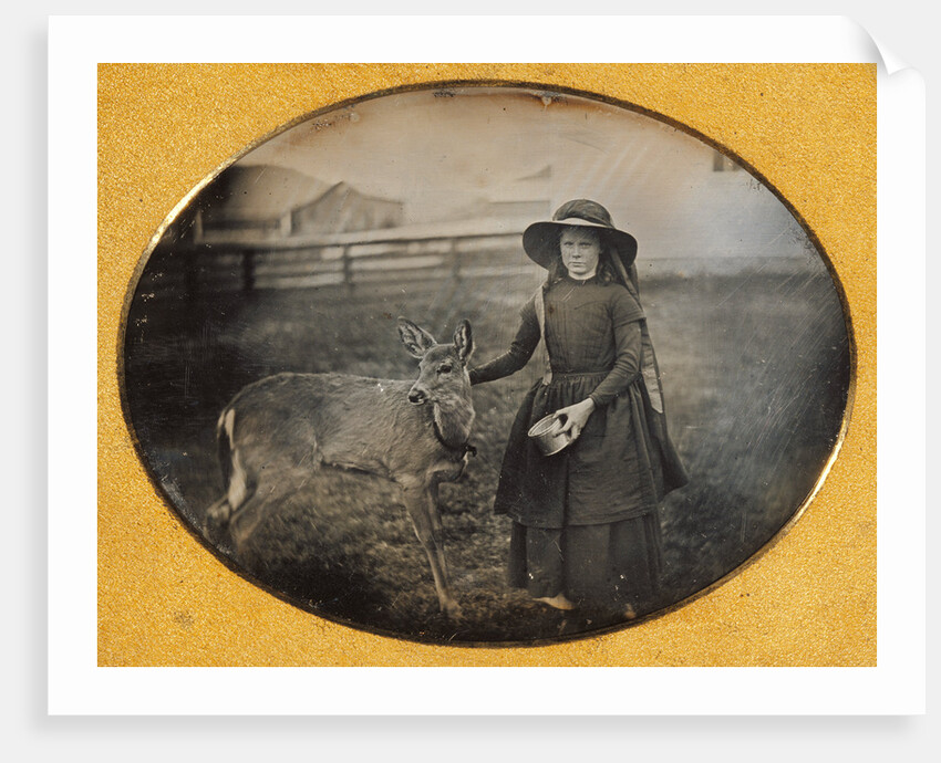 Portrait of a Girl with her Deer by Anonymous