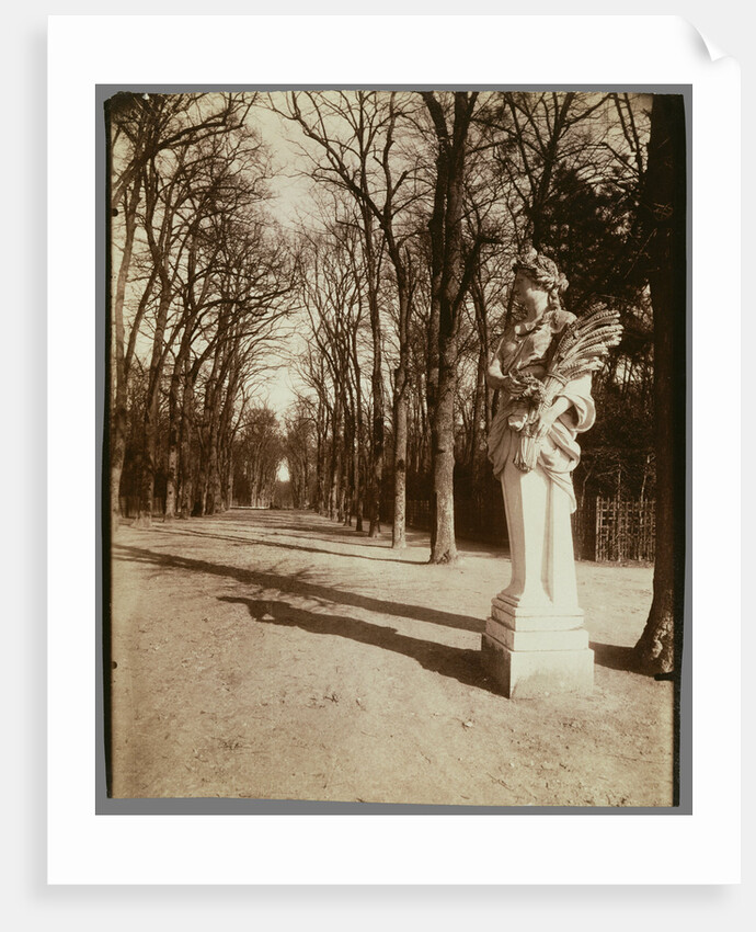 Versailles-Parc (The Park, Versailles) by Eugène Atget
