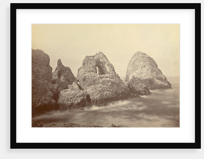 Sugarloaf Islands at Fisherman's Bay, Farallon Islands by Carleton Watkins
